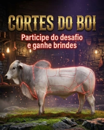 Roleta Digital